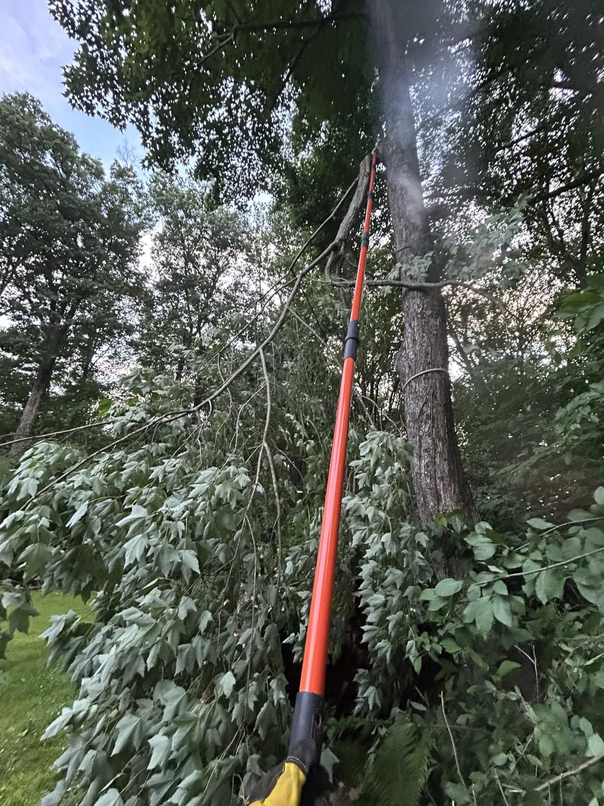 VEVOR Manual Pole Saw, 7.3-27 ft Extendable Tree Pruner, Sharp Steel Blade and Scissors High Branches Trimming, Branch Trimmer with Lightweight 8 Fiberglass Handles, for Pruning Palms and Shrubs customer photo 2