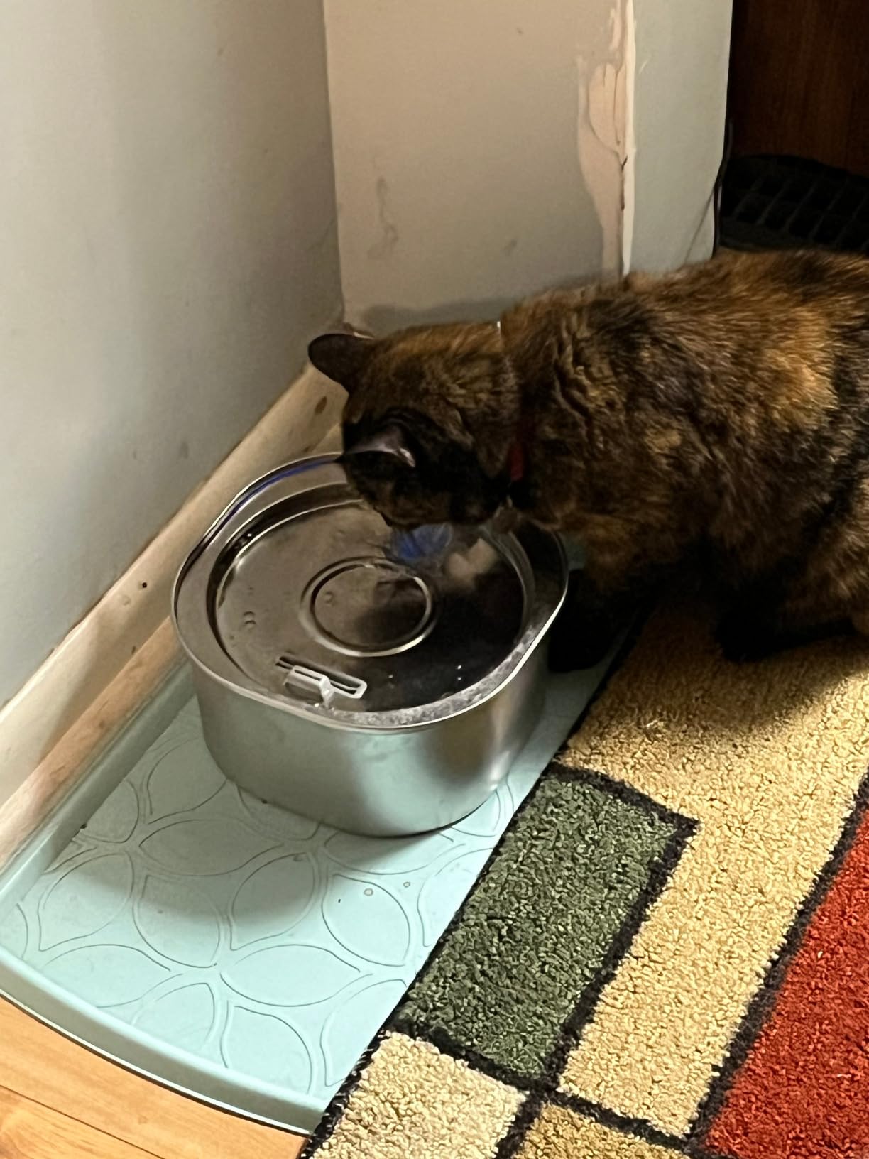 PEKTACO Cat Water Fountain, 3.2L/108oz Stainless Steel Pet Water Fountain | Cat drinking fountain, dishwasher safe, with triple filtration, quiet pump, and visible water window for cats and small pets customer photo 1