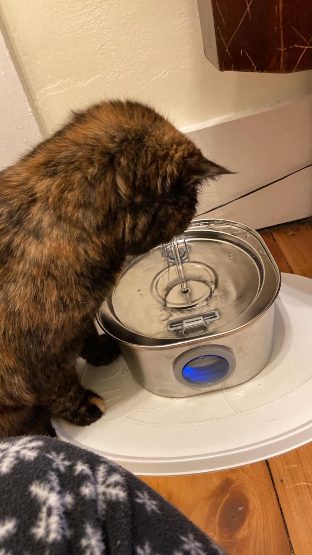 PEKTACO Cat Water Fountain, 3.2L/108oz Stainless Steel Pet Water Fountain | Cat drinking fountain, dishwasher safe, with triple filtration, quiet pump, and visible water window for cats and small pets customer photo 2