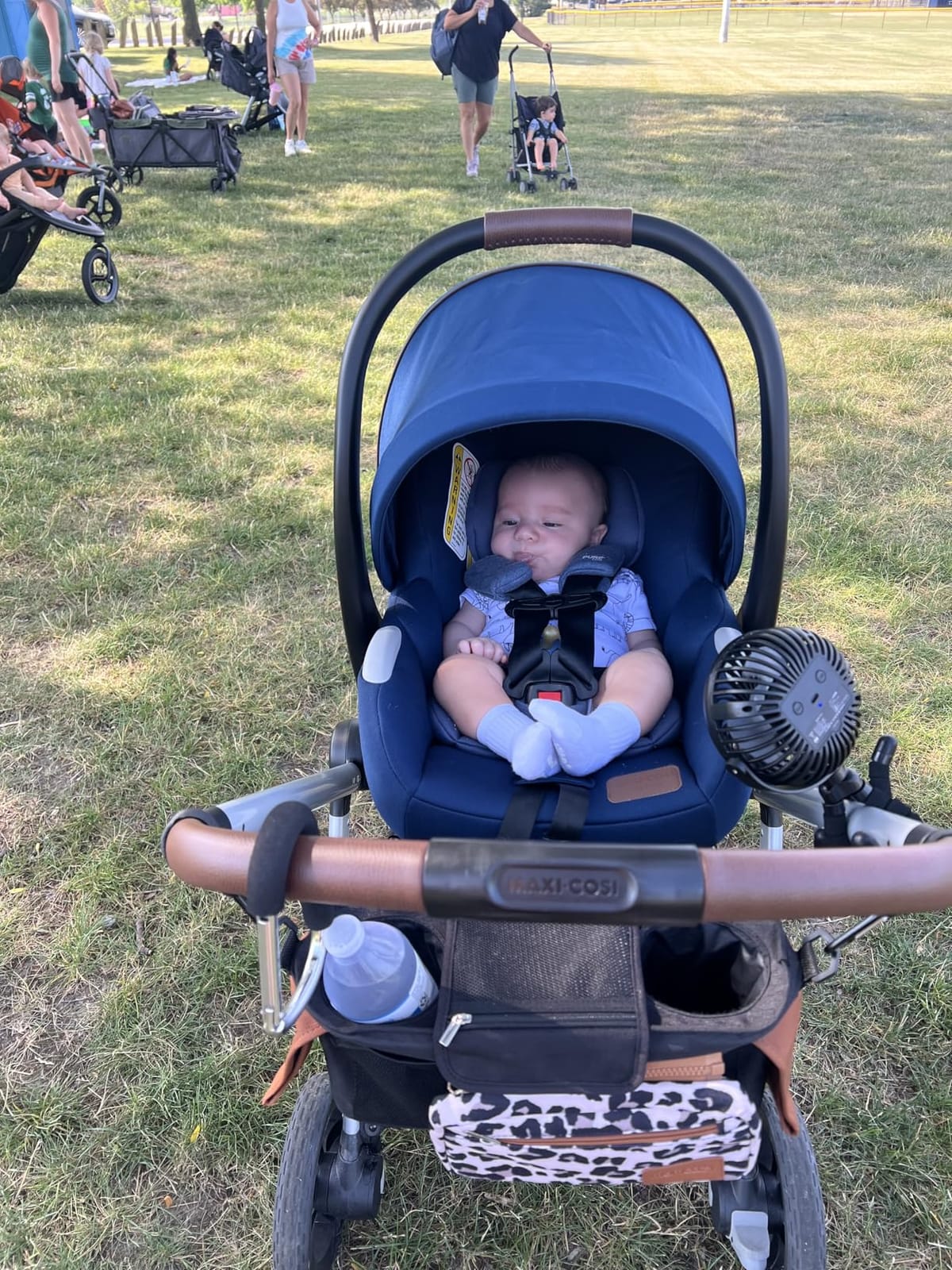 Maxi-Cosi Zelia 2 Luxe 5-in-1 Modular Travel System, New Hope Tan customer photo 2