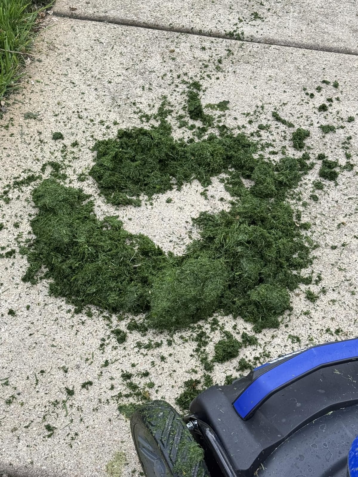 Wild Badger Power 40V 18-In Brushless Cordless Electric Lawn Mower | 18-in brushless push mower for small-to-medium lawns; 5 cut heights, 3-in-1 clipping modes, 40V 4.0Ah battery and charger. customer photo 1