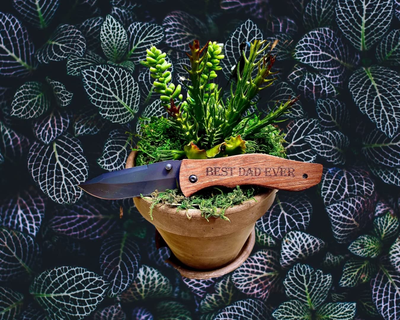 Titorld Gifts for Men Dad Him Fathers Day, Anniversary Birthday Gifts ideas for Boyfriend Husband, Engraved Pocket Knife, Wooden Handle Folding Knife with Wood Box 7.8 Inch customer photo 2