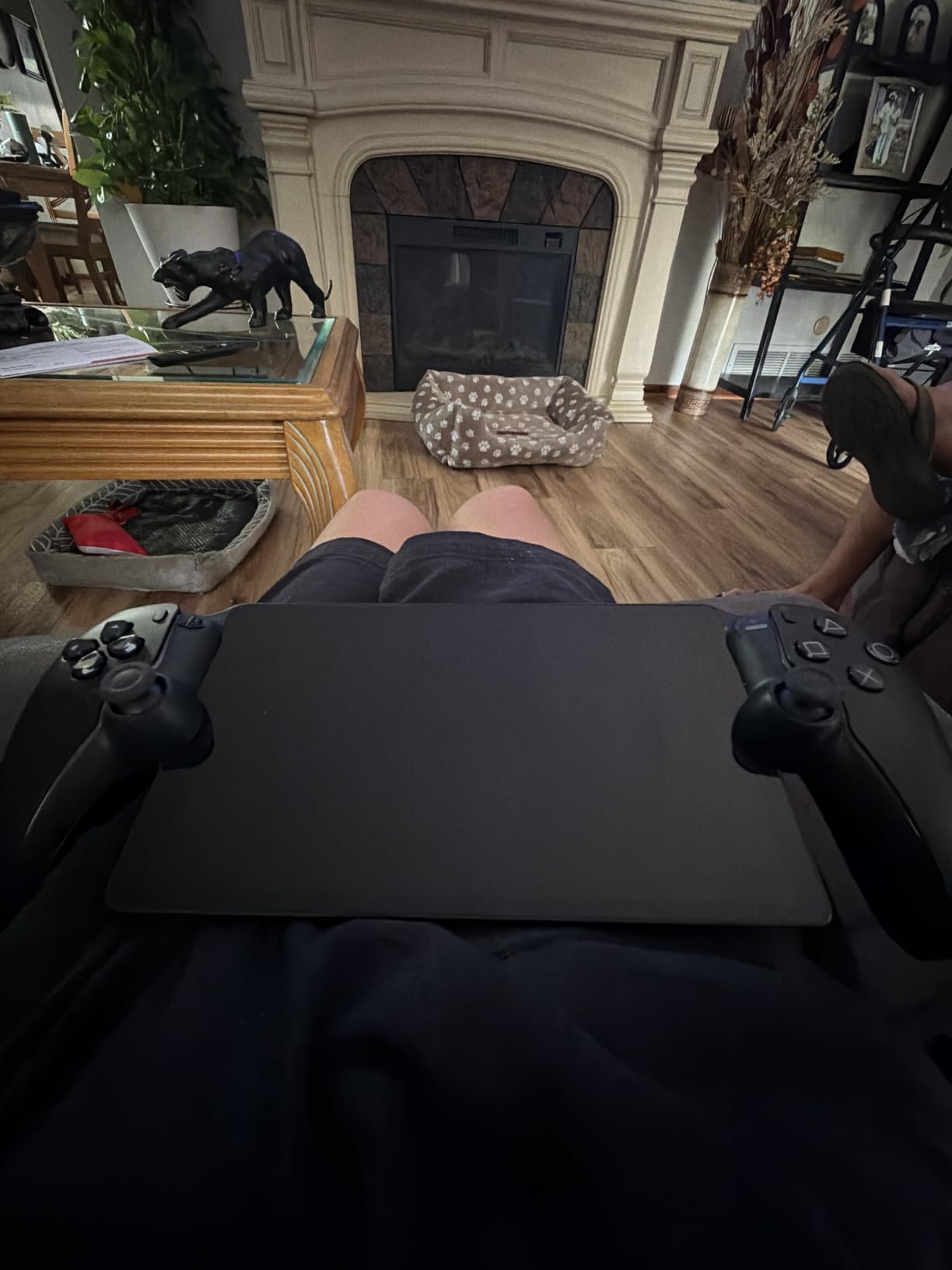 PlayStation 5 Portal Remote Player customer photo 2
