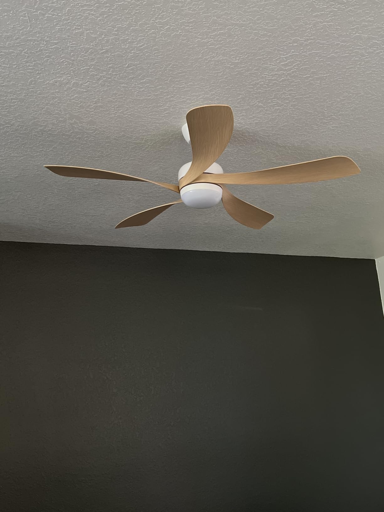 Sofucor 52 Inch Smart Ceiling Fan with Light, 5 ABS Blades, Brown customer photo 1