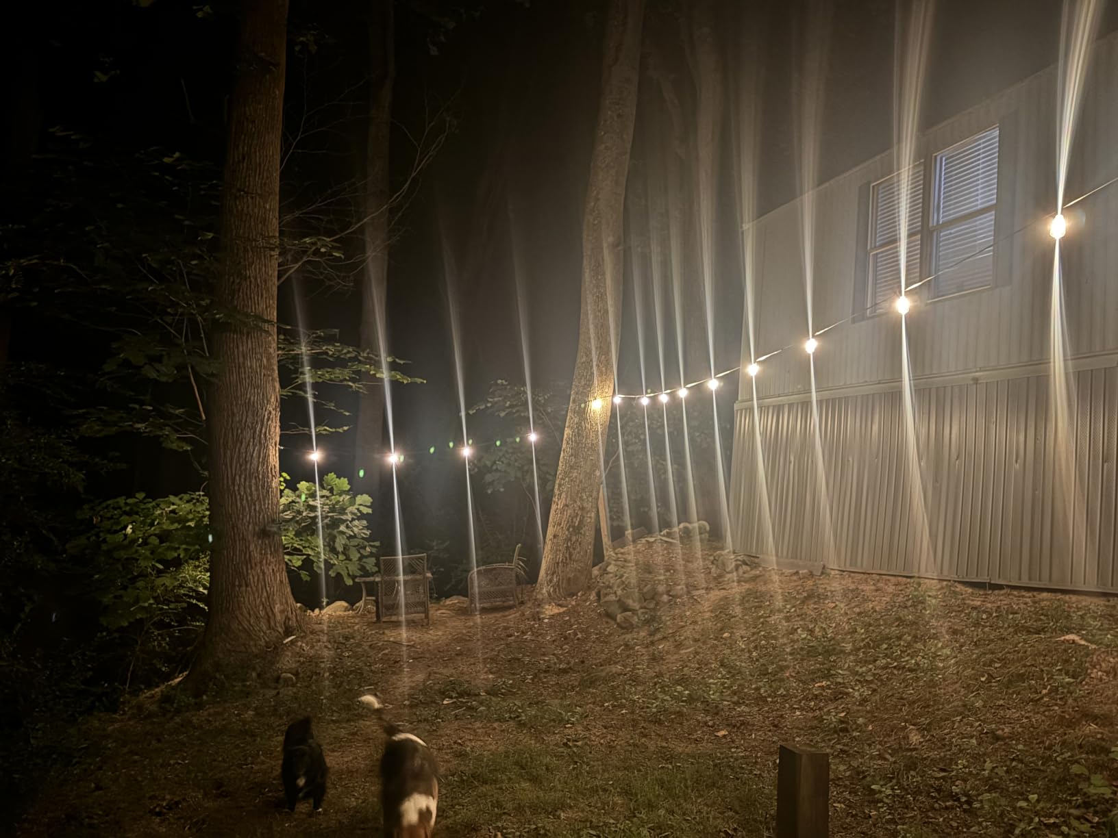 addlon 100FT LED Outdoor String Lights with Remote Waterproof Patio Lights with Shatterproof ST38 Replaceable Bulbs, Dimmable Outside Hanging Light Connectable for Porch, Backyard customer photo 1