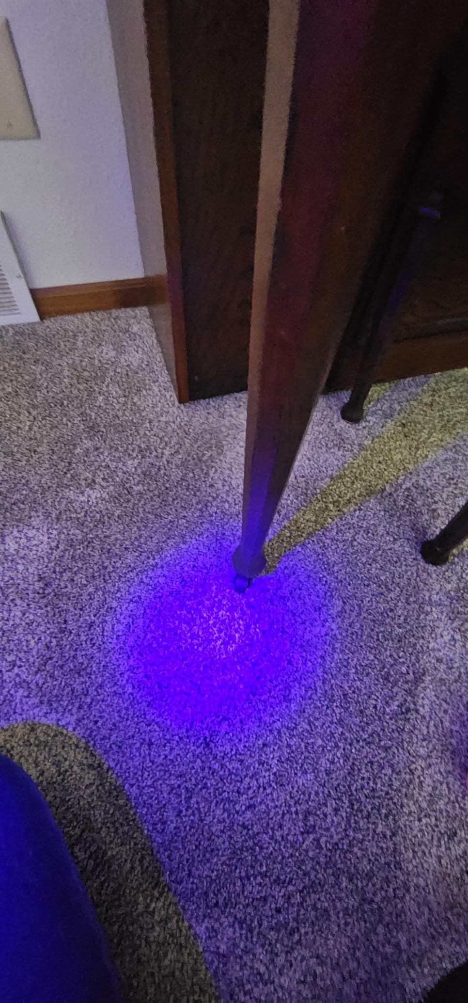 BISSELL Little Green Max Pet Portable Carpet Cleaner, 3860 customer photo 2