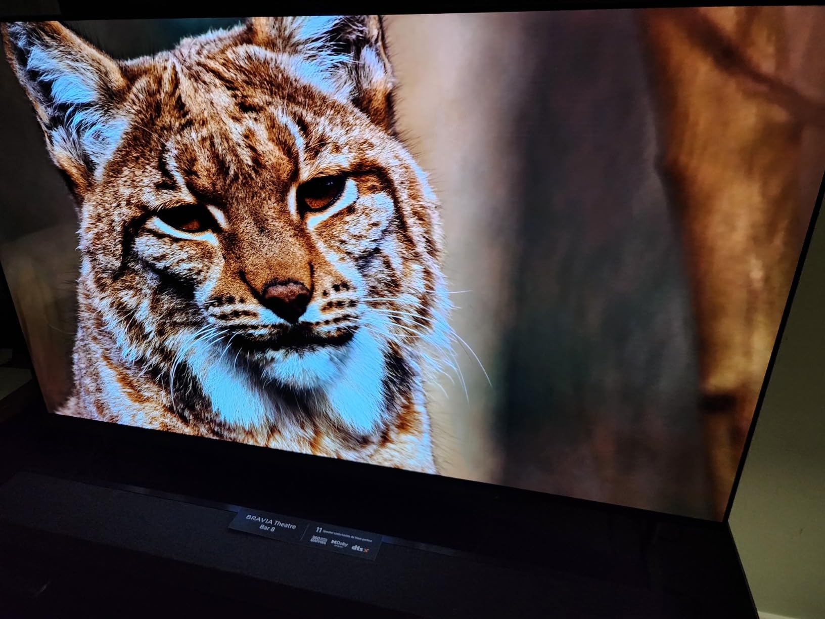 Sony 65 Inch BRAVIA 8 OLED 4K HDR Smart Google TV (K-65XR80) | XR Processor with AI Technology, Dolby Vision/Atmos, Exclusive Features for PlayStation 5, 4K movie credits included customer photo 1