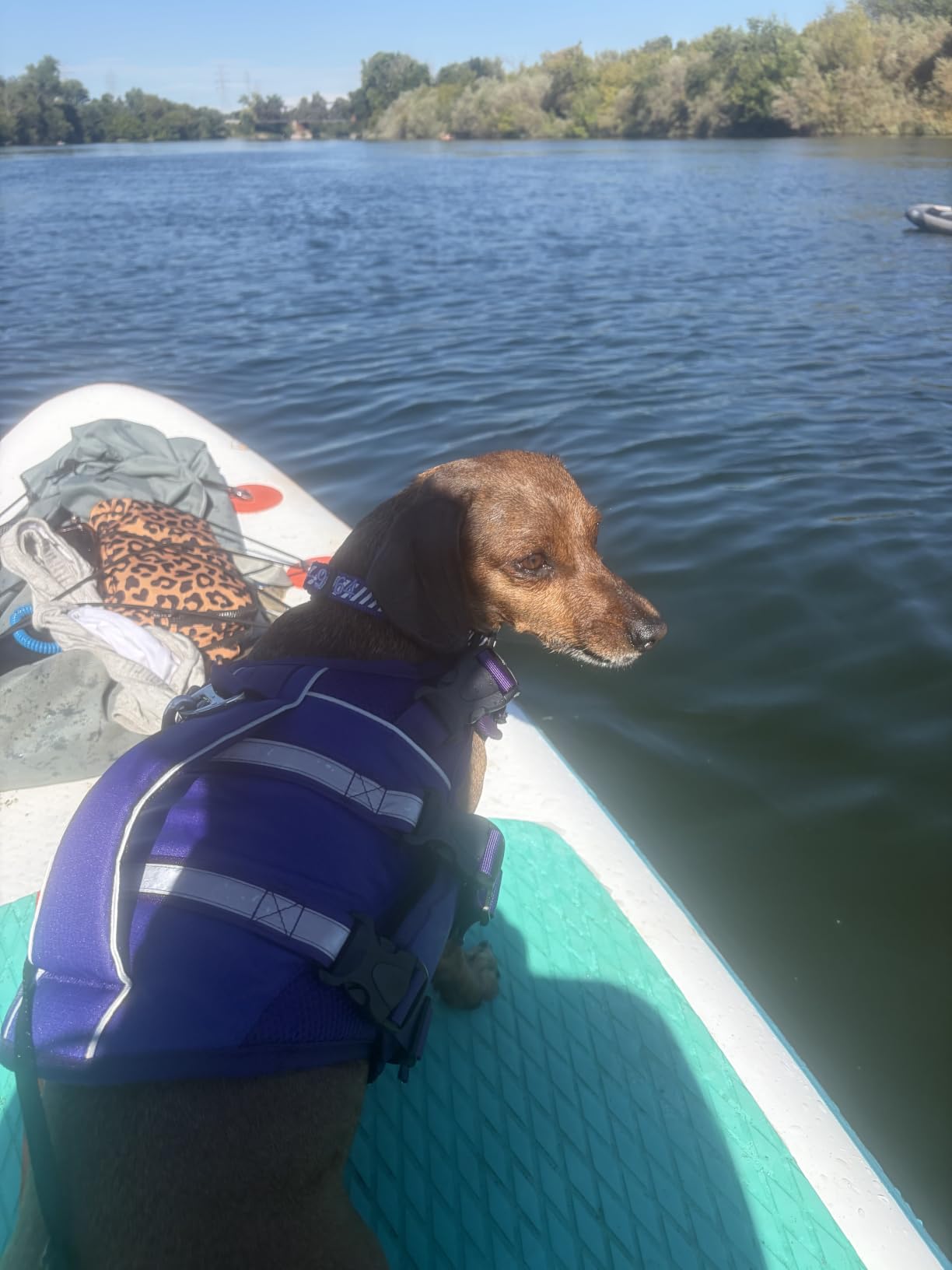 XHYCPY Inflatable Paddle Boards Stand Up Paddleboard Wide Stable with Premium SUP Paddle Board Accessories for All Skill Levels with Fins, Adjustable Paddle, Pump, Backpack, Leash customer photo 2