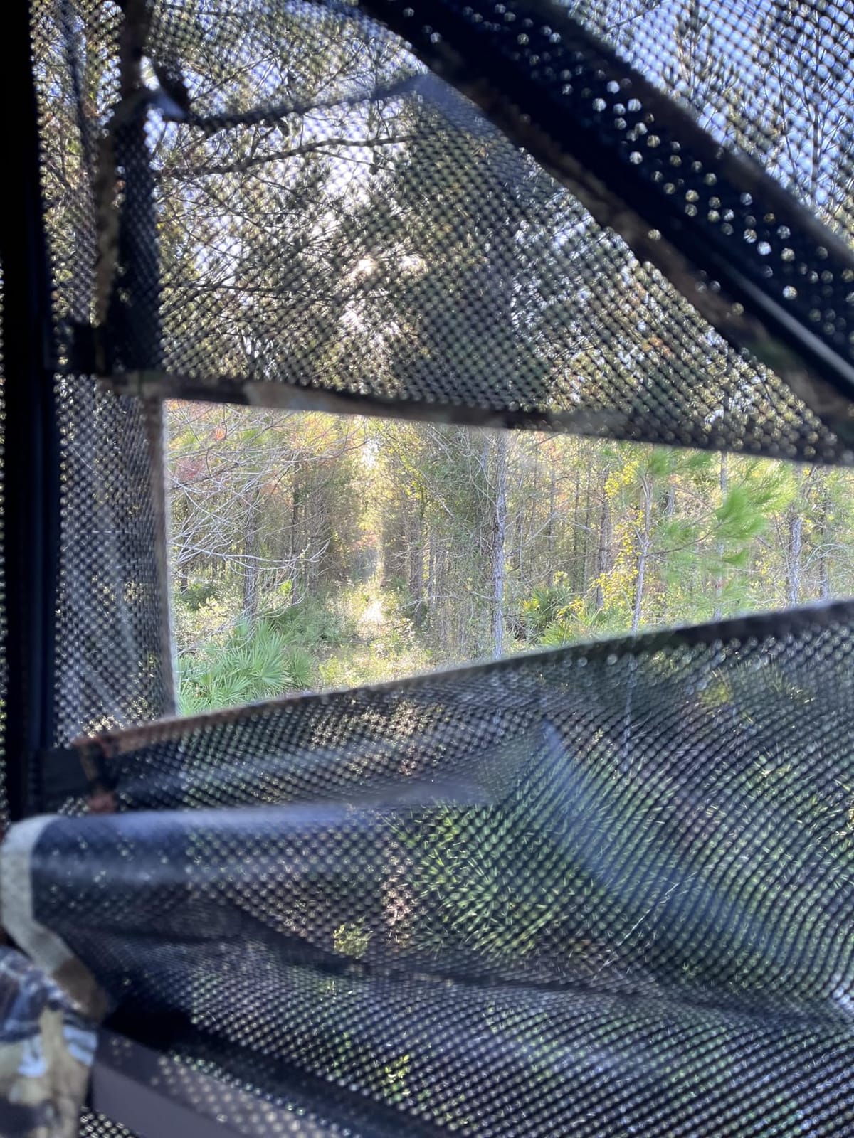 TIDEWE Hunting Blind 360 See Through, Pop Up Ground Blind with Large Door | Pop Up Tent with Large Door, Removable Curtain & Protable Carrying Bag, Quiet Sliding Windows for Deer Turkey Hunting customer photo 1
