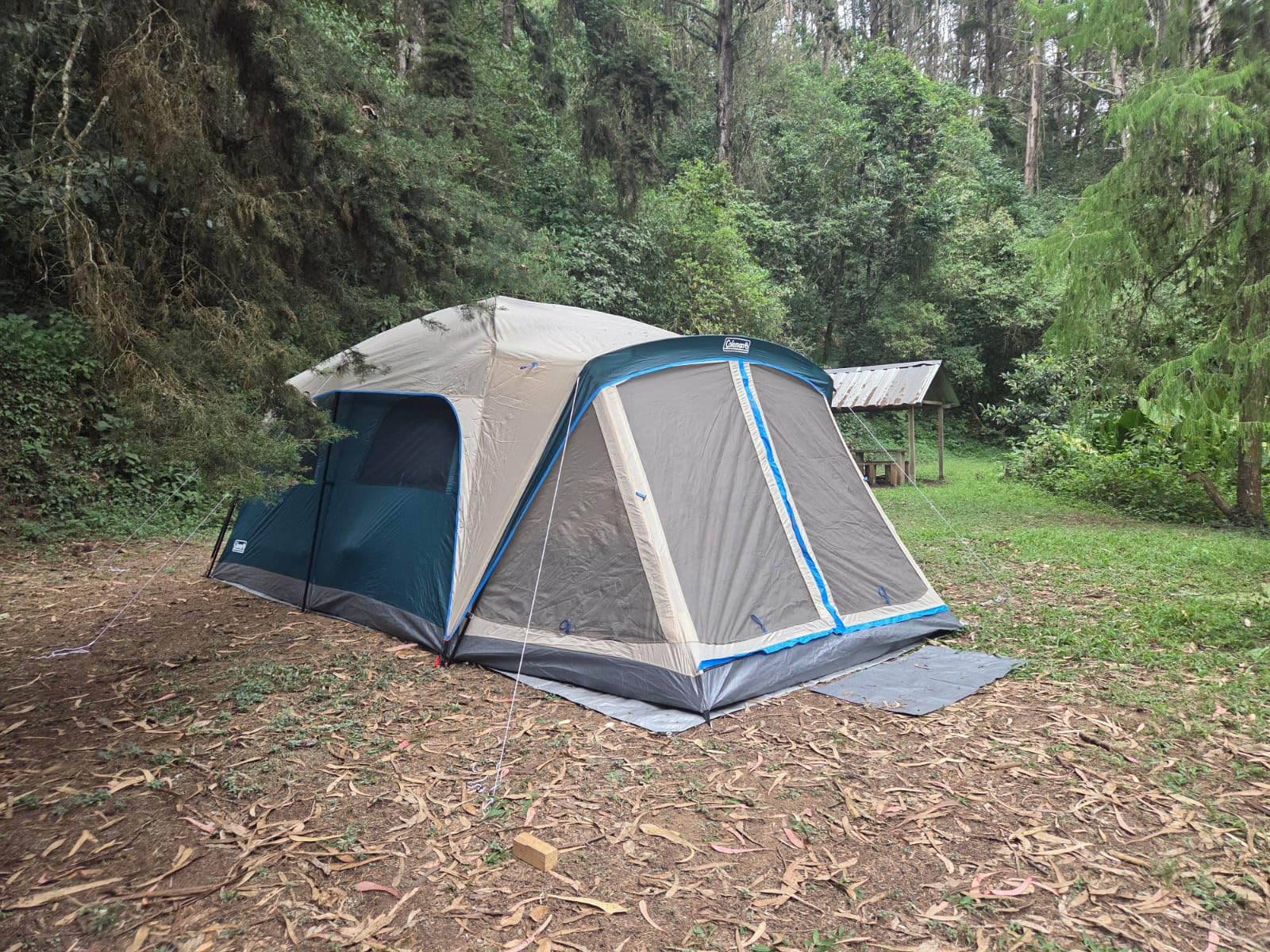 Coleman Skylodge Camping Tent with Rainfly & Screened Porch, XL Weatherproof Family Tent Fits 4 Queen-Sized Airbeds, Color-Coded Poles & Sleeves, Made of PFAS-Free Materials customer photo 2