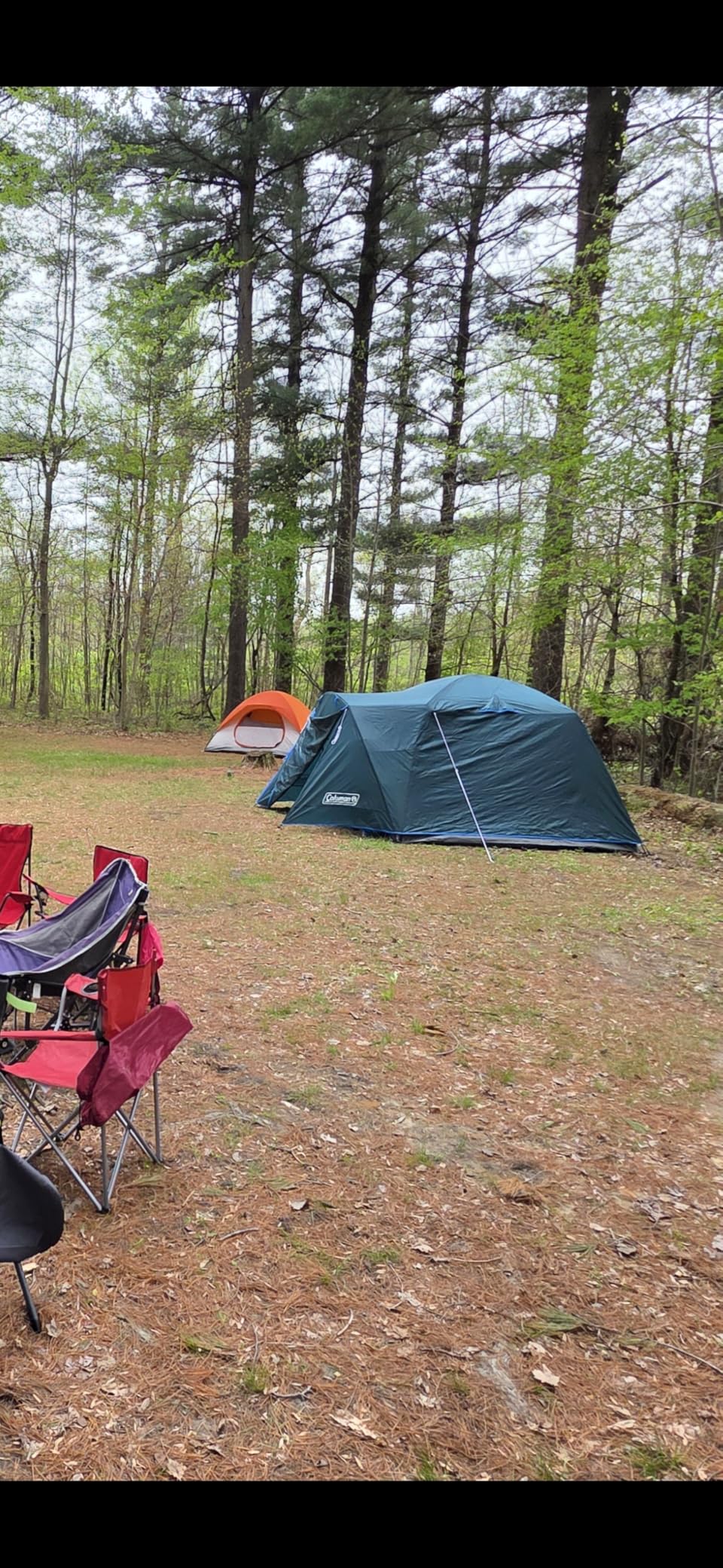 Coleman Skydome Tent with Full-Fly Weather Vestibule, Weatherproof 4/6 Person Tent Sets Up in 5 Minutes & Protects from Water, 20% More Headroom Than Traditional Shelters customer photo 2