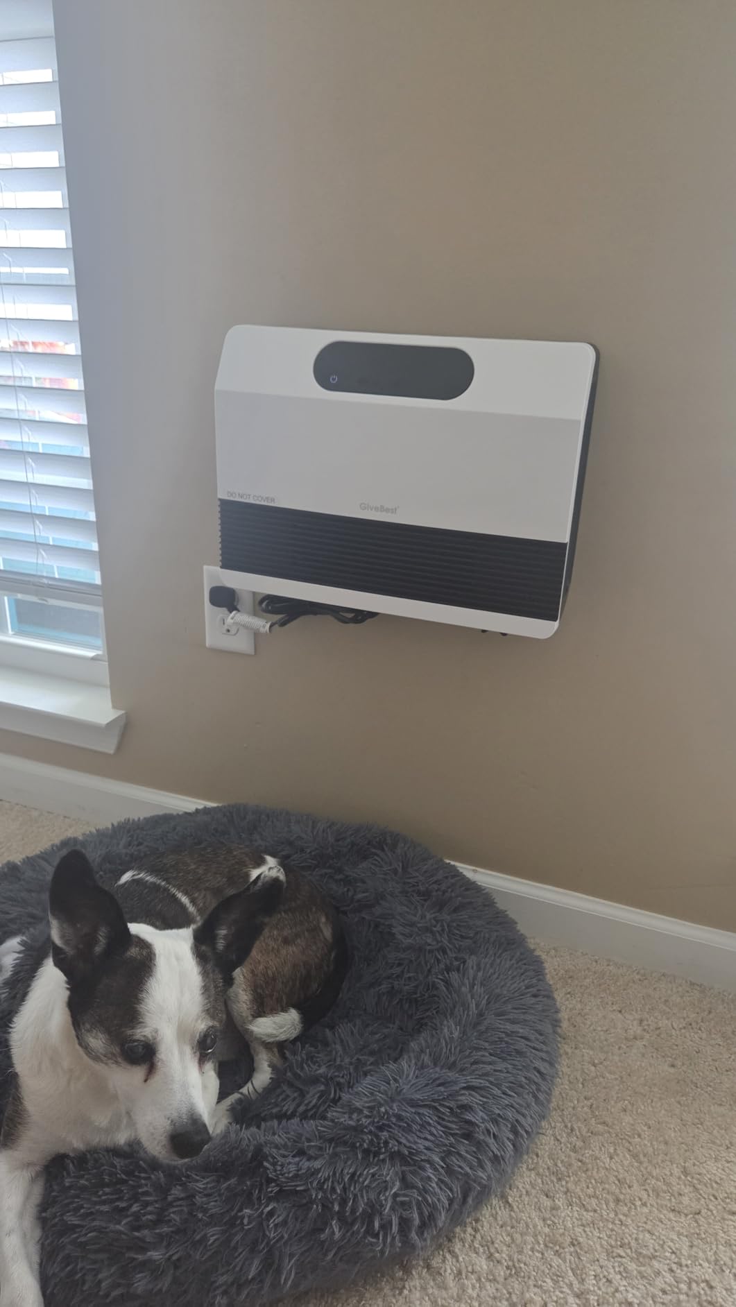 GiveBest Electric Wall Mounted Heater, 1500W Space Heaters for Indoor Use | Smart Heater with Adjustable Thermostat, Remote Control, Works with Alexa, 12H Timer Heat for Room Office Home Garage, White customer photo 2