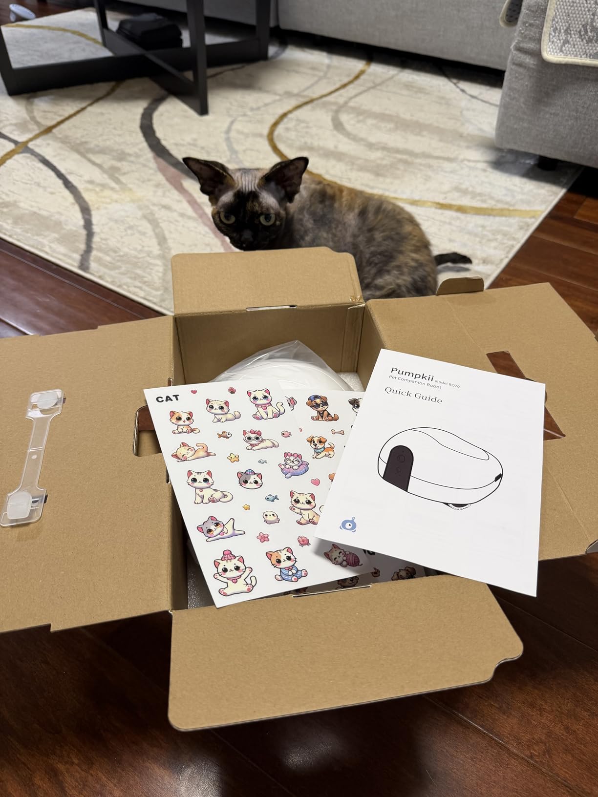 Pet Camera Robot with Treat Dispenser & Laser - Moving Cat Robot Camera for Dogs and Cats, Two-Way Audio, App Remote Control, Auto Recharge, Night Vision customer photo 1