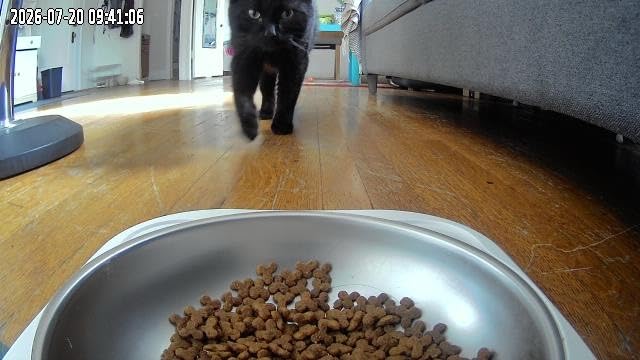 Frienhund Automatic Cat Feeder with 2K Camera: 5G WiFi Automatic Dog Feeder with Night Vision, Cat Food Dispenser with 7L Large Food Storage Container for Multiple Pet, Detachable for Easy Clean - 29 Cup customer photo 2