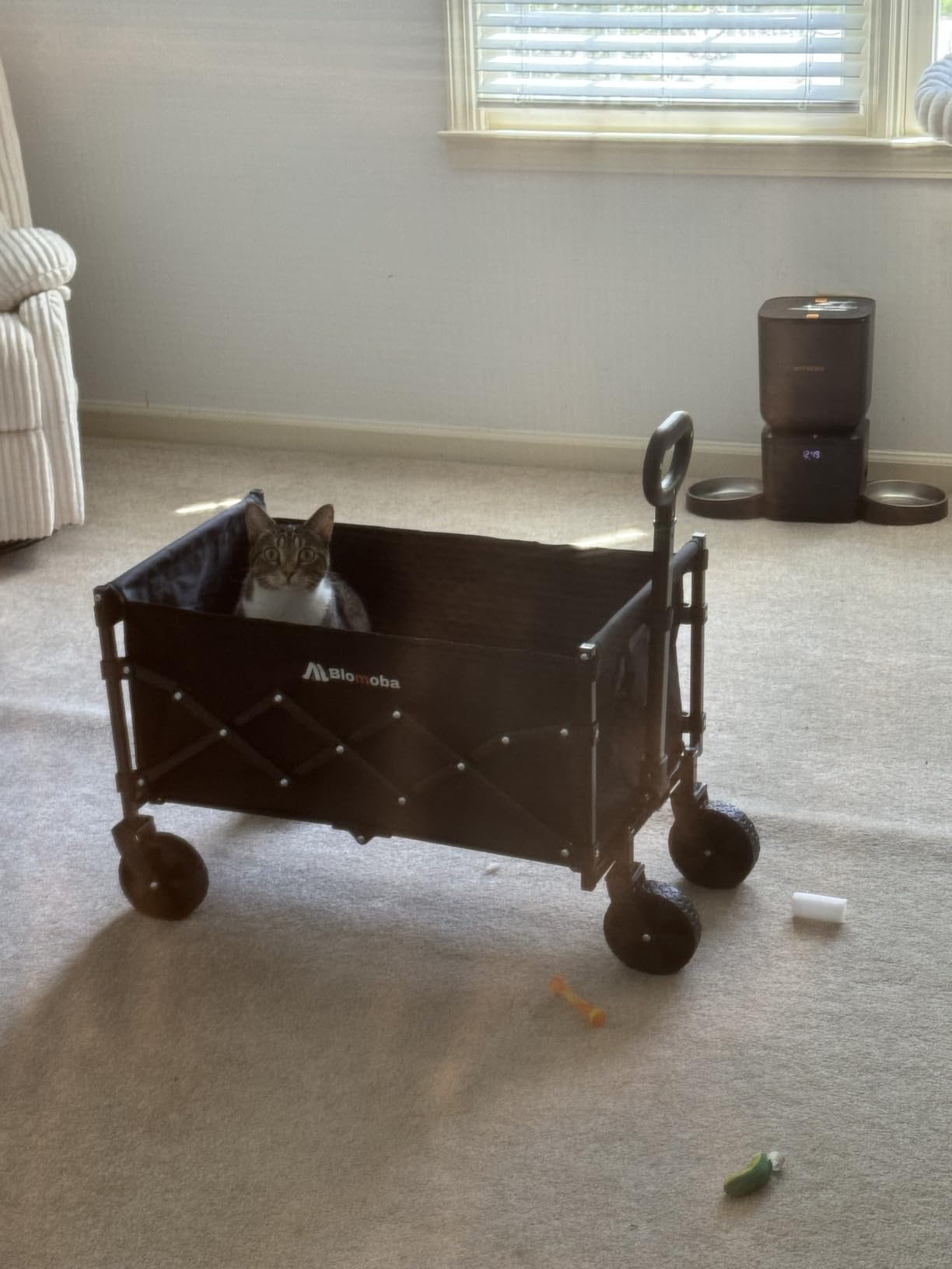 Blomoba Folding Wagon Cart with Wheels, 220lbs Utility Wagon Cart, Black customer photo 2