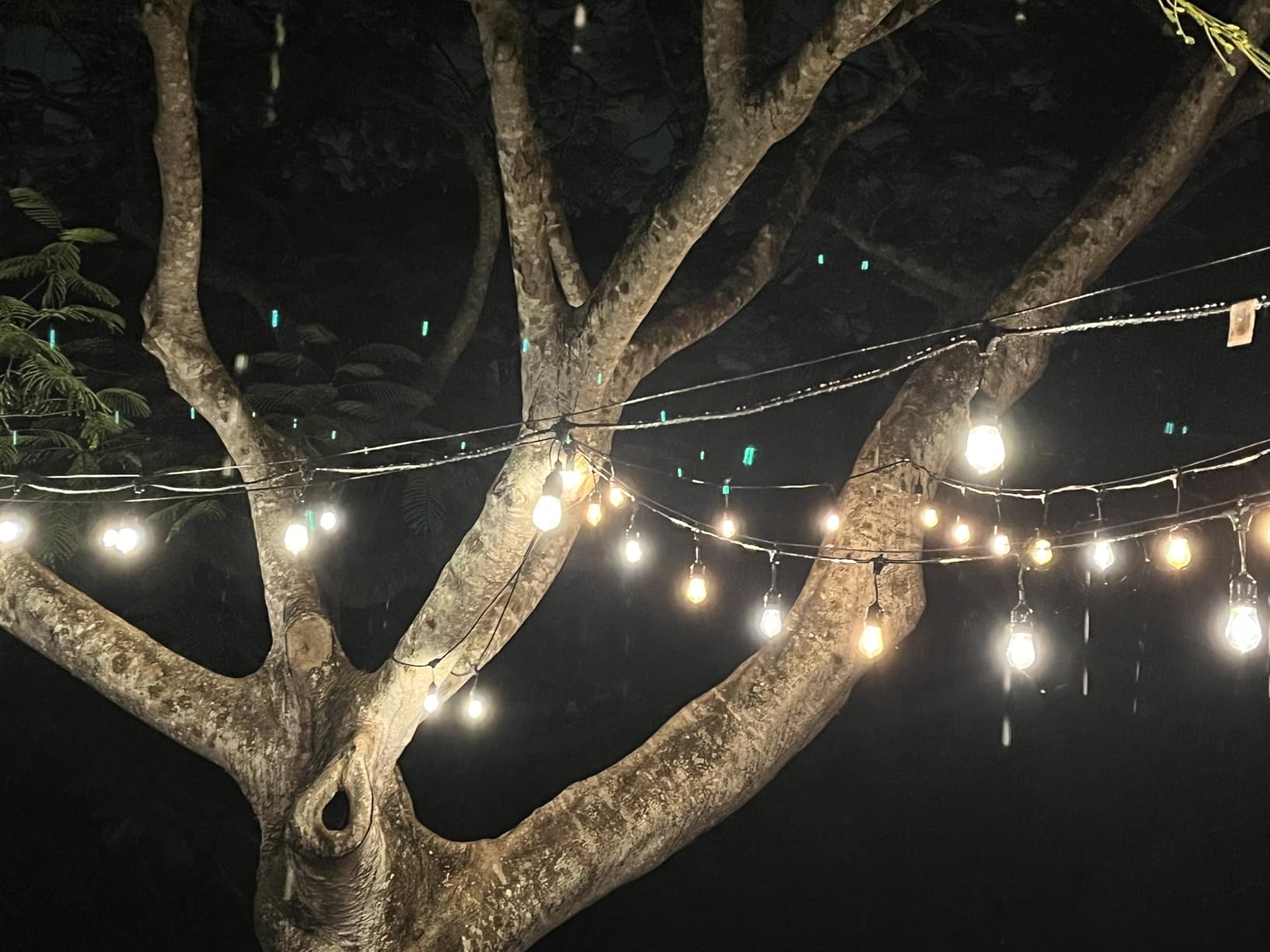 Svater 192 FT Outdoor String Lights 2W S14 LED Commercial Grade Waterproof | IP65 Hanging Light for Patio Outside Cafe Market Antique Edison Bulbs, ETL-Listed Warm White (48 FT*4) customer photo 2
