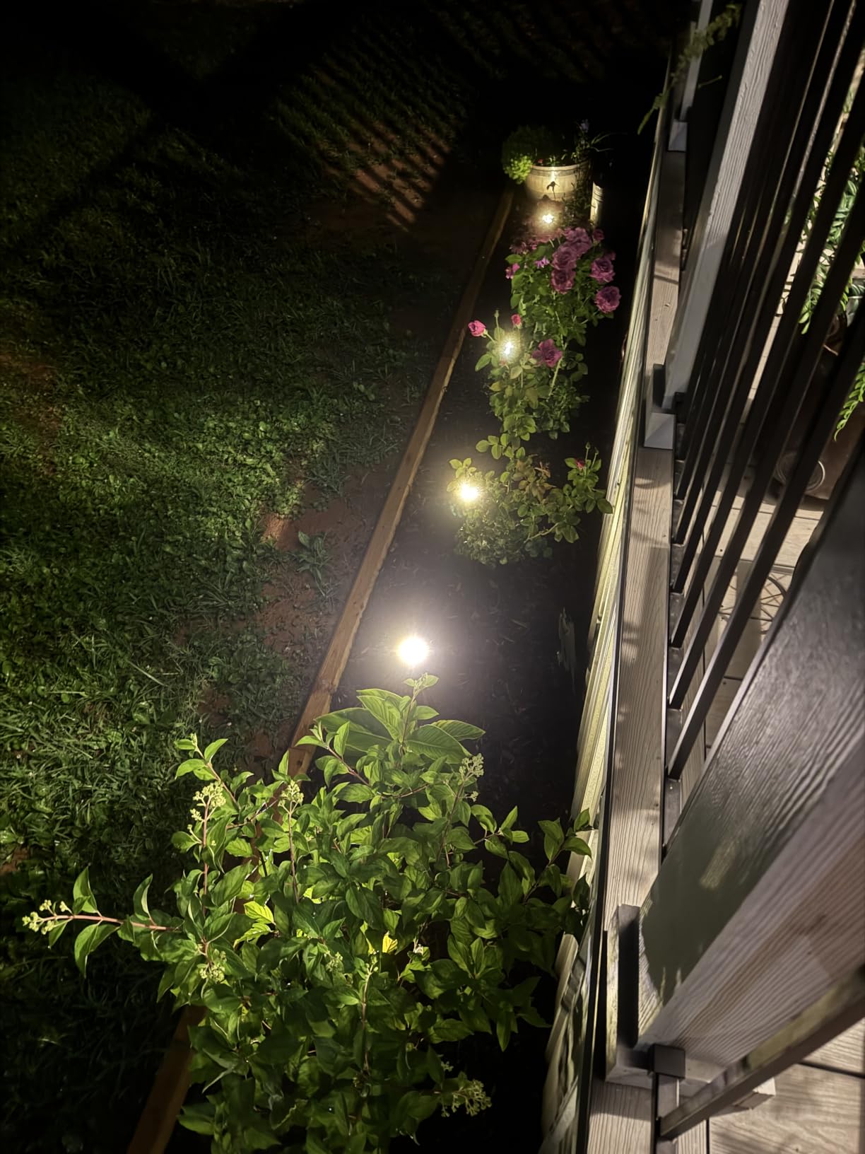 Solar Lights Outdoor Waterproof, Warm White 12 Pack 2-in-1 Ground Lights | Solar Powered Lights Outdoor Solar Disk Light Landscape Light for Deck Step Patio Yard Pathway Walkway Driveway Garden customer photo 1