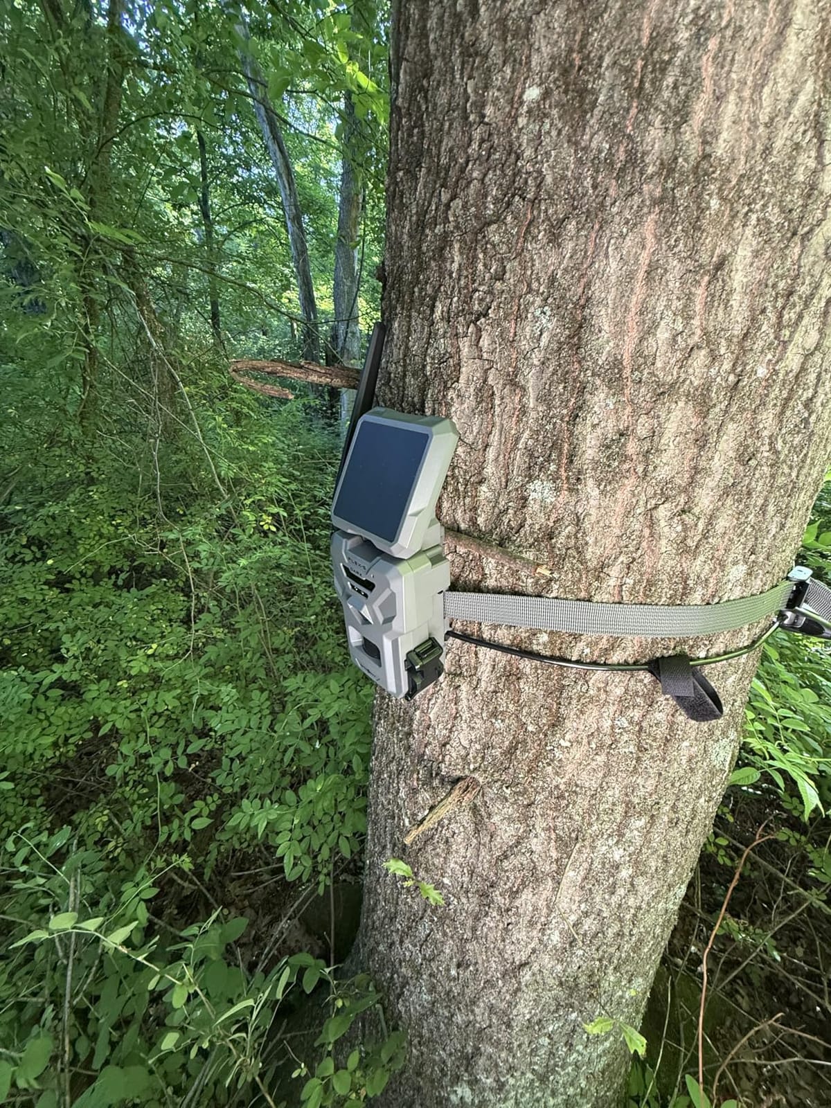 SPYPOINT Flex-S-Dark Solar Cellular Trail Camera - Built-in Solar Panel, 40MP Photos, 1080p Videos + Sound, No-Glow Game Camera, Night Vision, Motion Activated Trail Cam customer photo 2