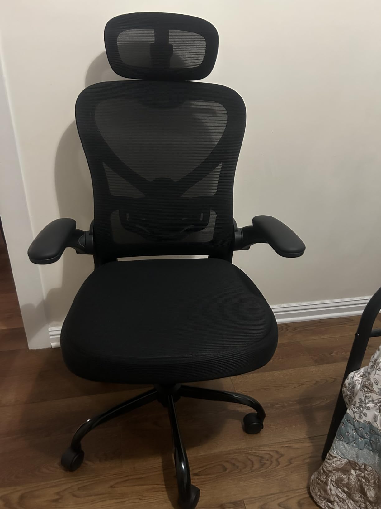 Ergonomic Office Chair, Mesh Home Office Desk Chairs with 3D Headrest | Freepub Computer Gaming Chair with Adjustable High Back Lumbar Support, Executive Swivel chairs, 350LBS Capacity, Black customer photo 1