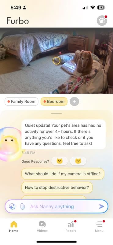 Furbo 360° Dog Camera + Mini 2-Camera Bundle - Dog Safety & Home Security Alerts, Pet Camera with Speaker, Phone App & Night Vision, Treat Toss customer photo 1