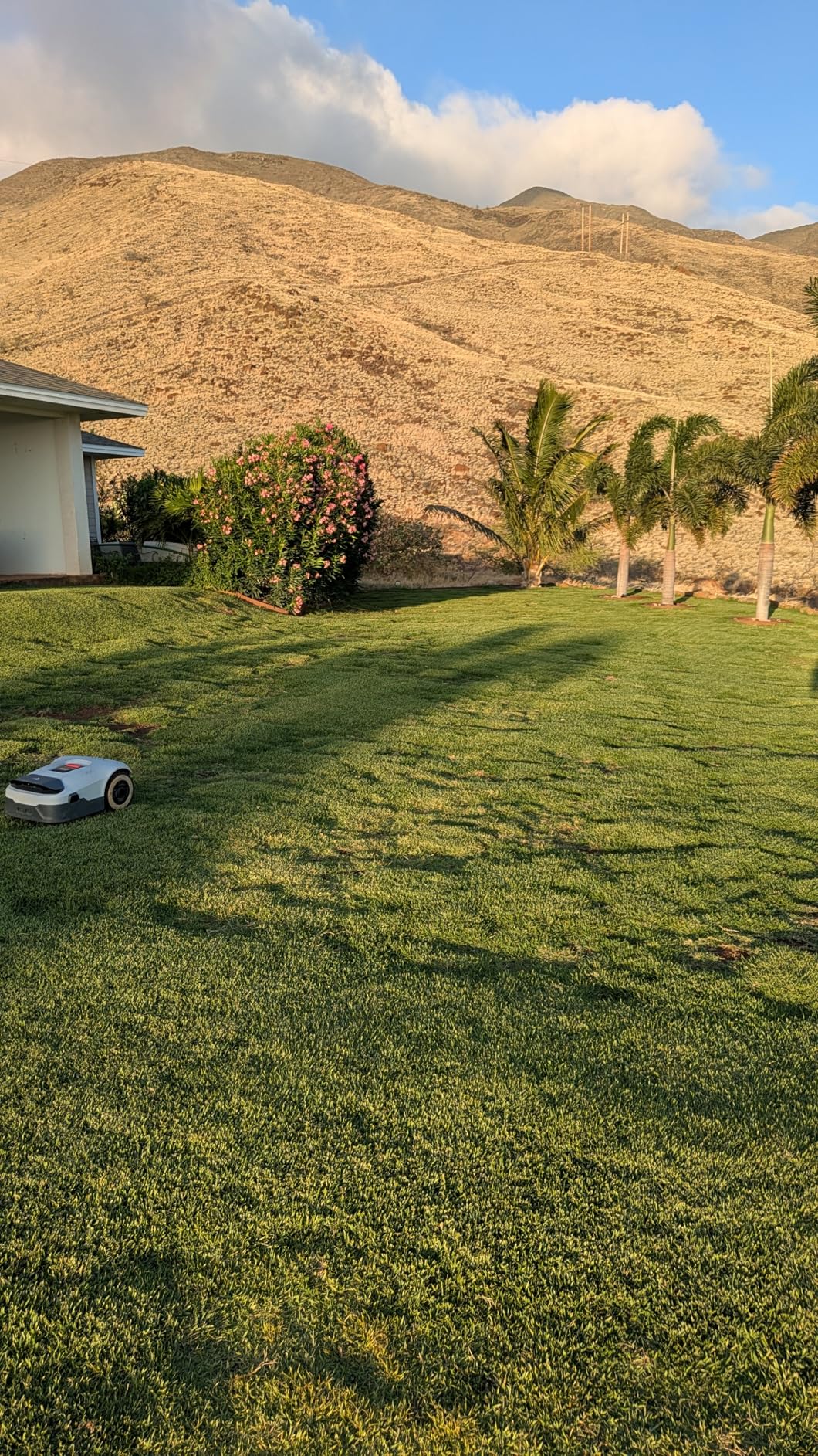 ANTHBOT Genie600 Robot Lawn Mower - NO Wire, Full Band RTK+4-Eye Vision Robotic Lawnmower for 1/4 Acre, Auto Mapping, Multi-Zone Management, Accurate Obstacle Avoidance, Intelligent Path Planning customer photo 1