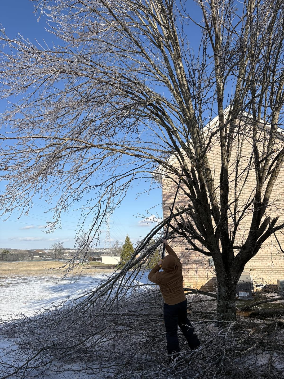 14.5FT Pole Saw with Adjustable Length for Tree Trimming, Lightweight Manual Pruning Saw with Mn Steel Blade, Long Extension Branch Cutter Pole Pruner for Yard, Garden, Patio & Forestry Use customer photo 1
