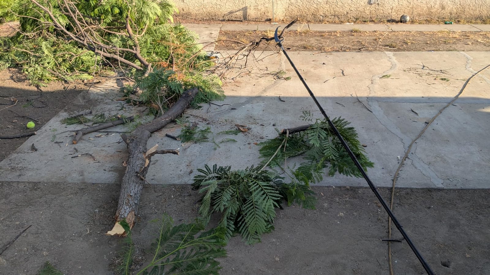 14.5FT Pole Saw with Adjustable Length for Tree Trimming, Lightweight Manual Pruning Saw with Mn Steel Blade, Long Extension Branch Cutter Pole Pruner for Yard, Garden, Patio & Forestry Use customer photo 2
