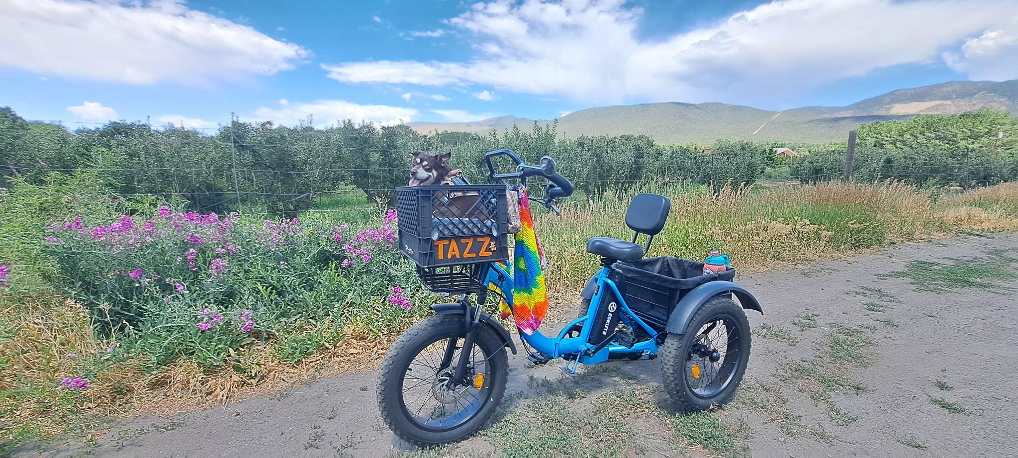 ESKUTE T300 Pro Electric Trike for Adults & Seniors, 998.4Wh Long-Range Battery, 1200W Peak Motor, 20