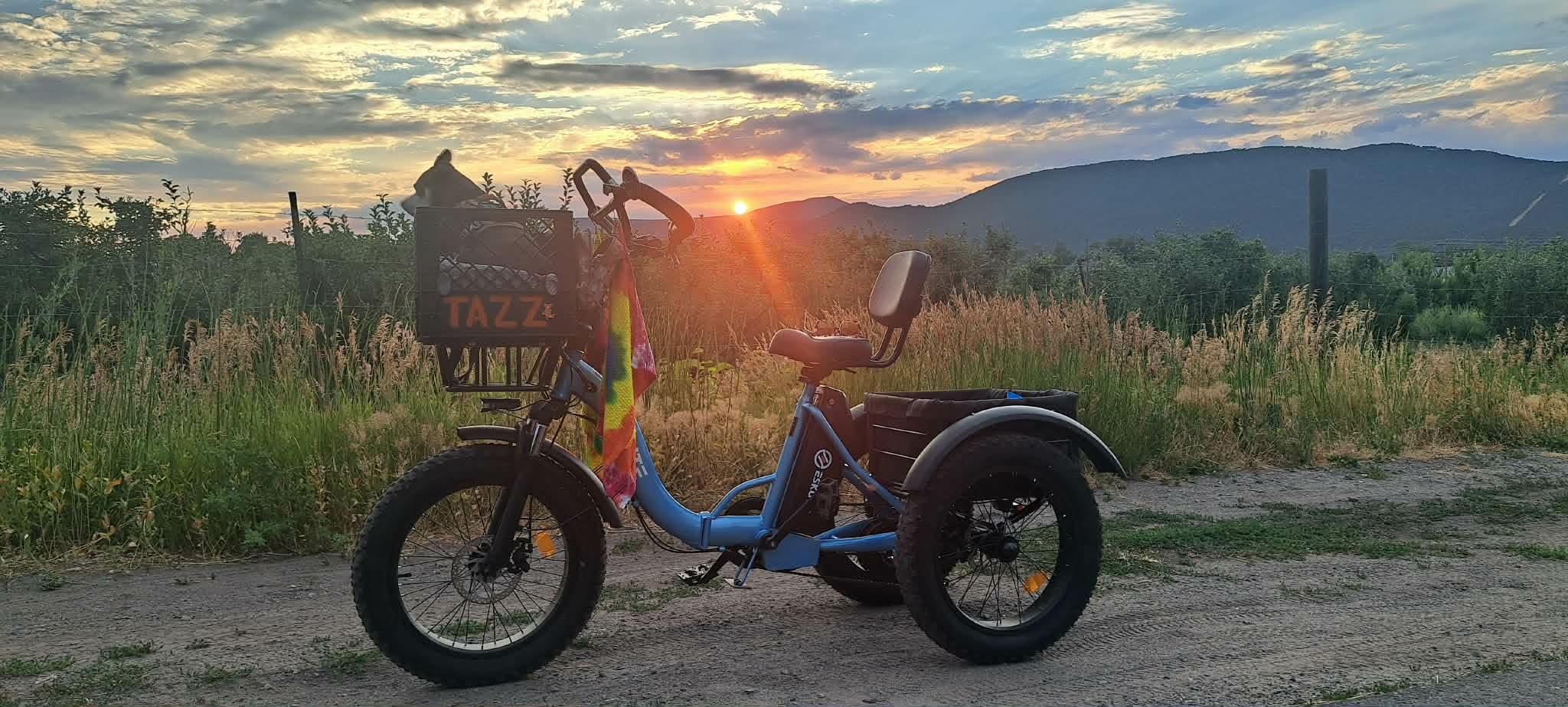 ESKUTE T300 Pro Electric Trike for Adults & Seniors, 998.4Wh Long-Range Battery, 1200W Peak Motor, 20