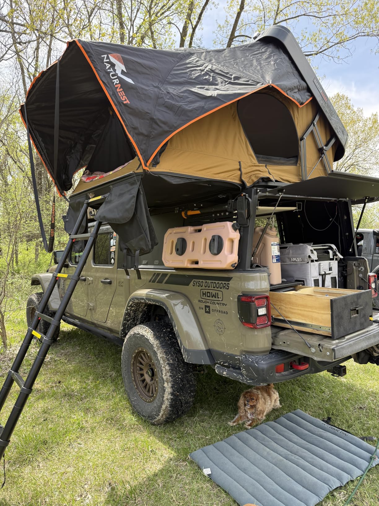 Naturnest Rooftop Tent Hard Shell, Easy Set Up Pop Up Large Tent for 2-4 Person Camping, Waterproof UV-Resistant Blackout Privacy 4 Season Tents for Truck, Jeep, SUV, Van, Trailer - Sirius 2 Series customer photo 1