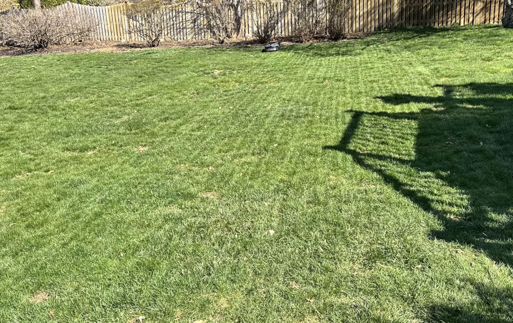 MOVA LiDAX Ultra 1000 Robot Lawn Mower Wire Free for 1/4 Acre, RTK-Free+360 Degree 3D LiDAR+AI Vision Auto Mapping, Zero-Edge Cutting, Cutting Height 1.2-3.9 in, 45% Slope customer photo 2