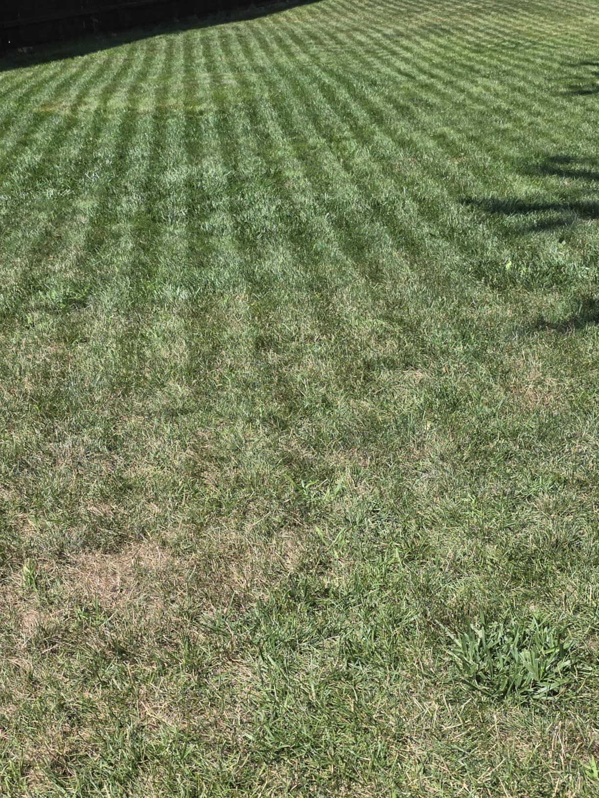 Sunseeker S4 Robot Lawn Mower, 3D LiDAR, Vision AI, 0.25 Acre, Wire-Free | Reliable wire-free mowing for homeowners with complex yards, trees, shade and narrow passages customer photo 1