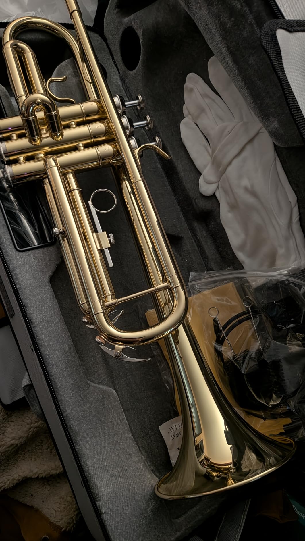 STRICH Bb Standard Trumpet Set for Beginners Student | Brass Trumpet Instrument with Hard Case, Cleaning Kit, 7C & 3C Mouthpieces, Gloves STR-130S, Silver customer photo 1