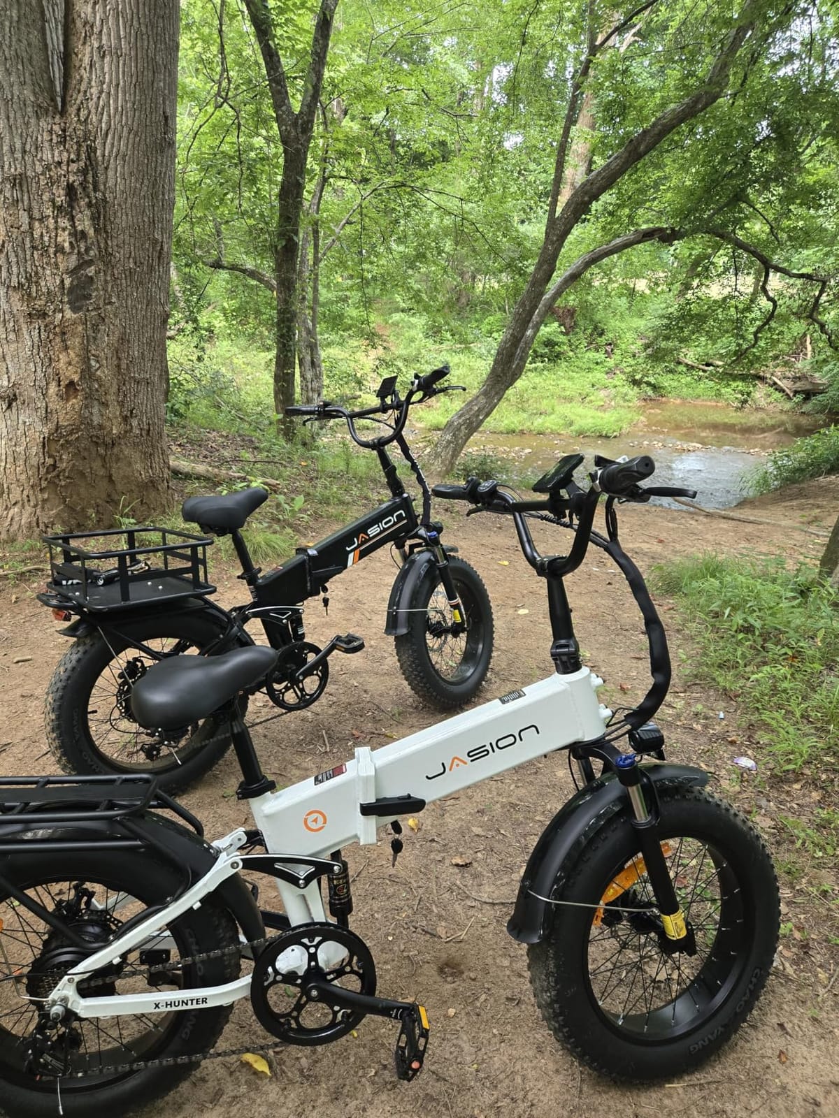 Jasion X-Hunter/ST/PRO Electric Bike for Adults, 1800W/1400W Peak 20