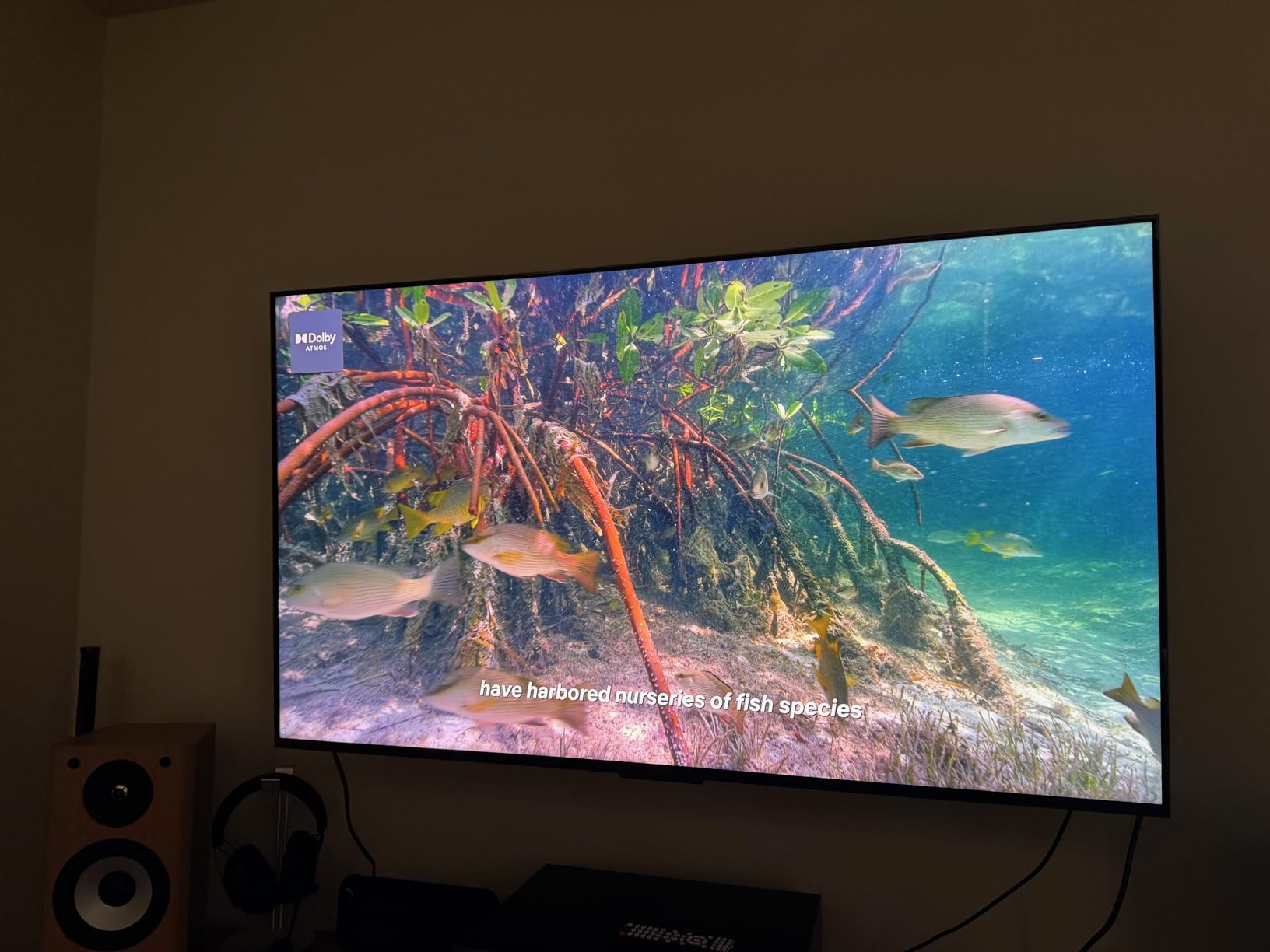 TCL 75 Inch Class QM7L Series SQD-Mini-LED QLED Smart TV customer photo 1