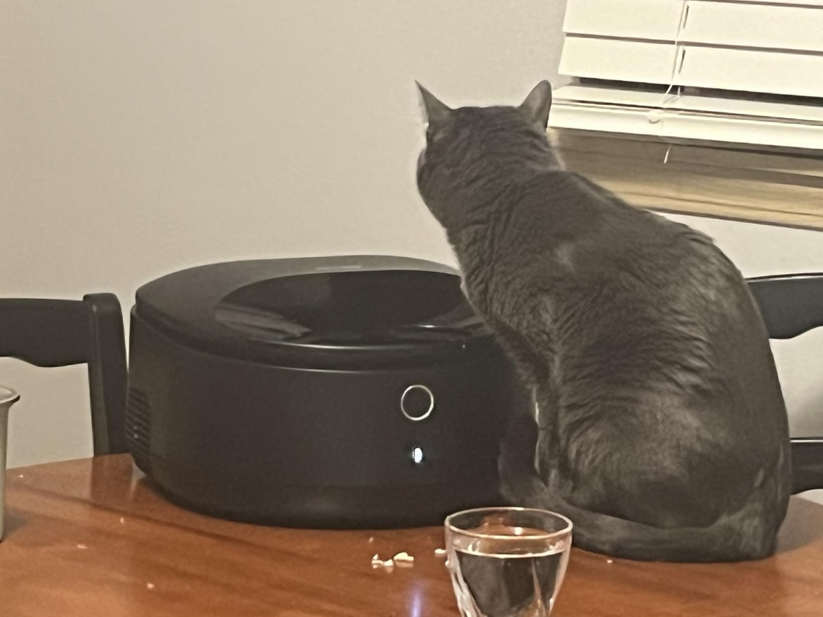 PETLIBRO Automatic Wet Food Cat Feeder 2026 New Version with Semiconductor Cooling, Refrigerated 3 Fresh Meals in 3 Days, App-Controlled Pet Food Dispenser, Stainless Steel Bowl, Easy to Clean customer photo 1