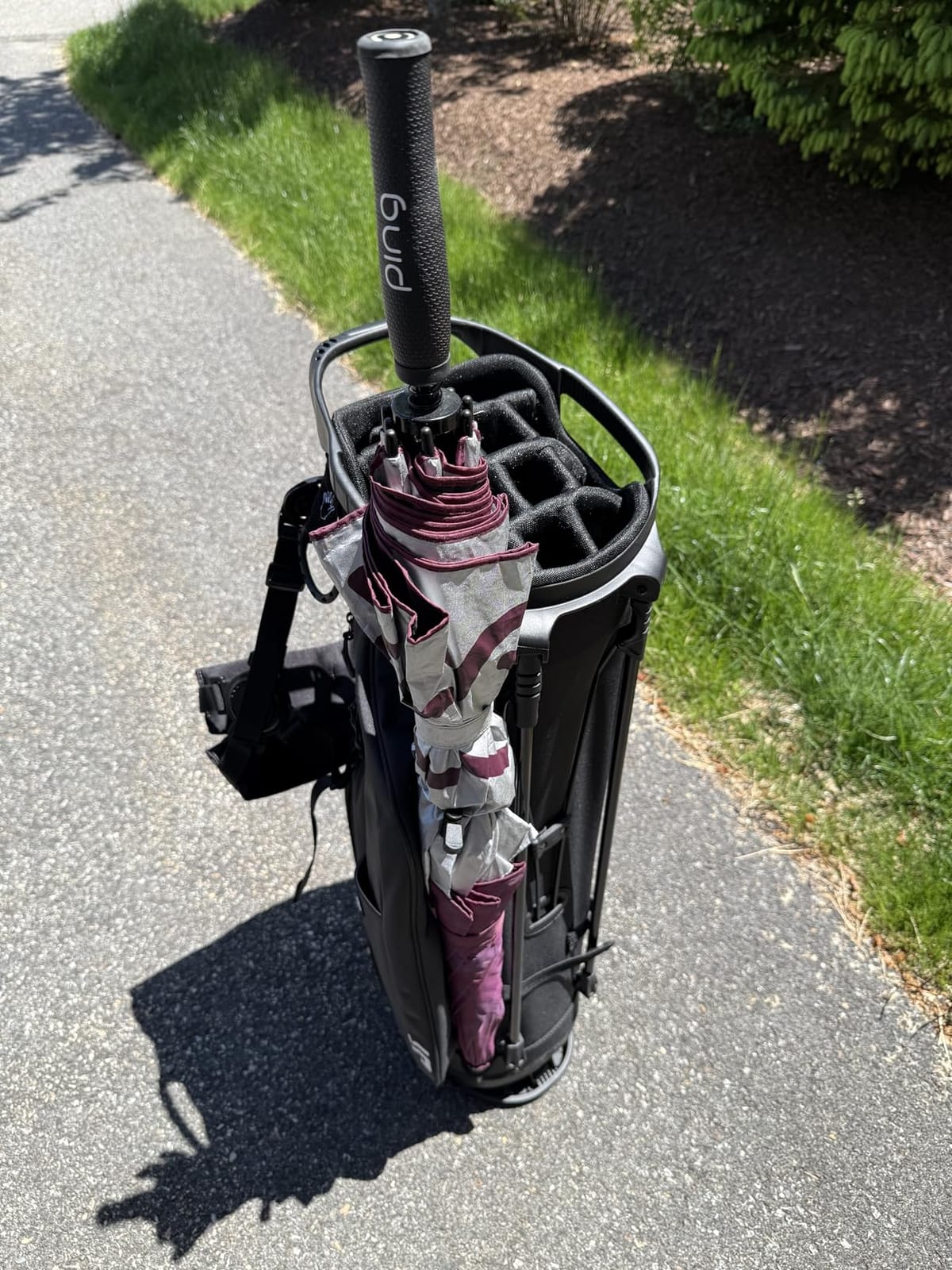Dragon Tiger Vista 14-Way Lightweight Golf Stand Bag for Walking Golfers customer photo 1