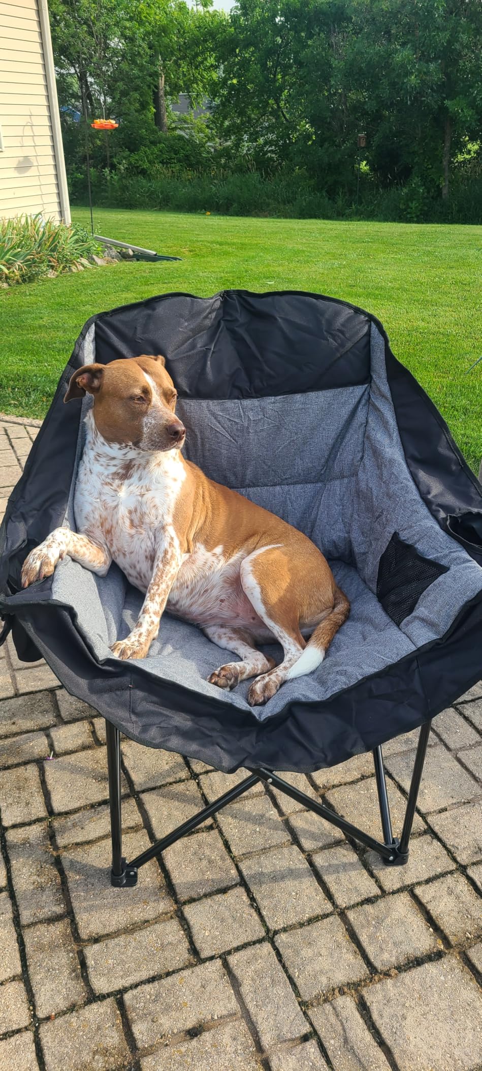 Oversized Camping Chairs for Adult - Heavy Duty Padded Portable Folding Chair XL Collapsible Camp Chair with Cup Holder Side Pocket for Outdoor Lawn Beach Sport Fishing Support 500LBS, Grey customer photo 1