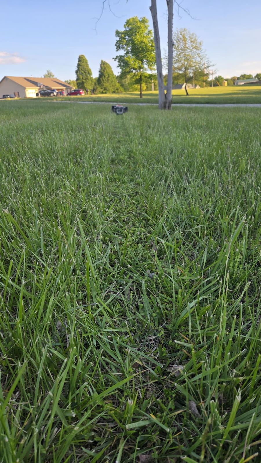 LawnMaster OcuMow 400 Series Robot Lawn Mower with Optical Navigation & Systematic Cutting - VBRM601YCM AD customer photo 1