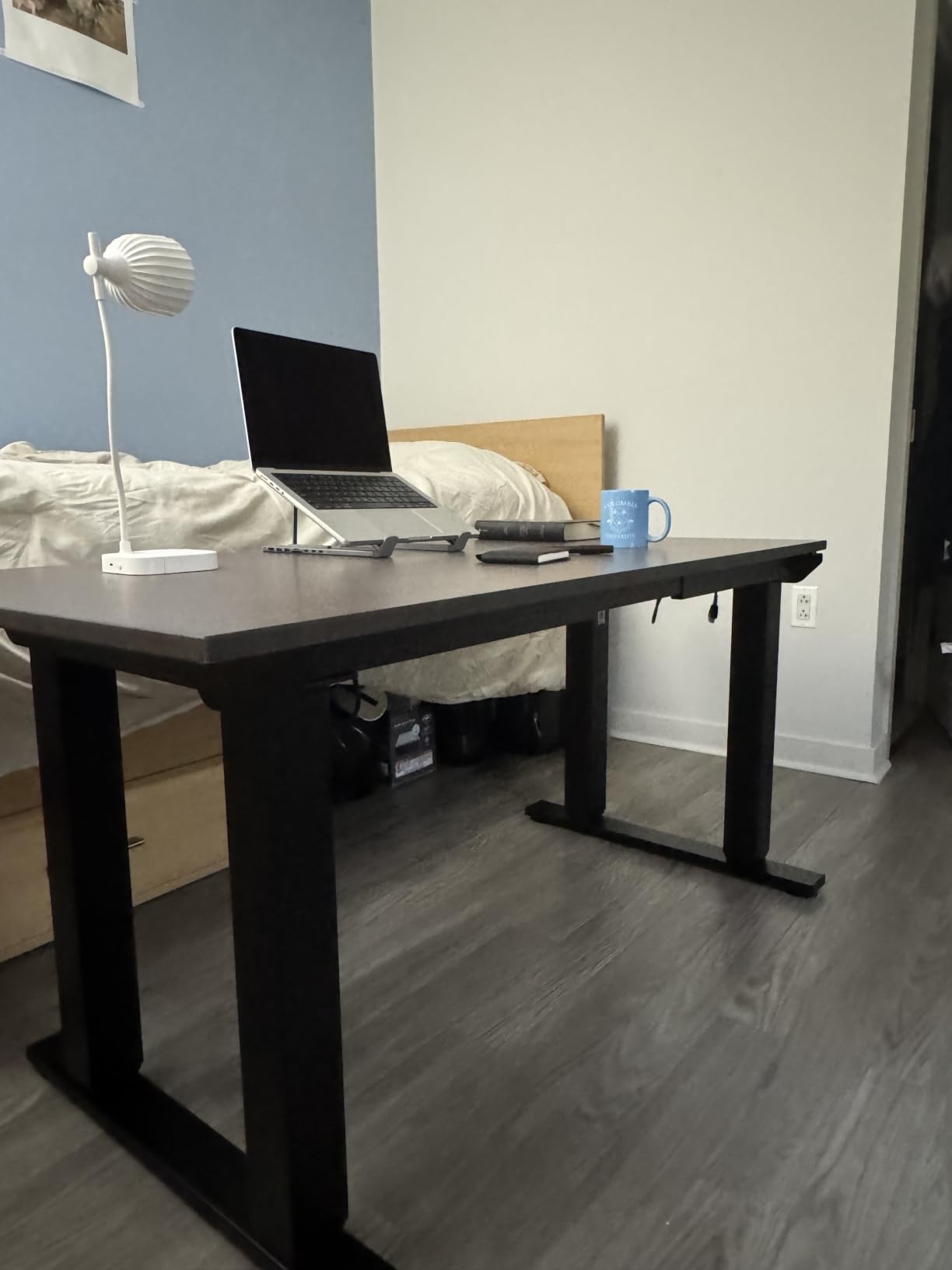 FLEXISPOT E6Q Premium 4-Leg Standing Desk, 55