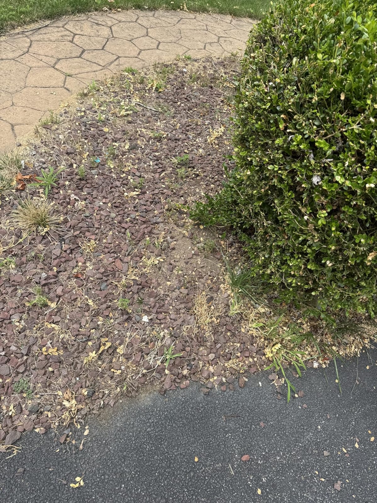 TDH Backpack Leaf Blower, 63CC Backpack Blower with 665 CFM & 205 MPH customer photo 2
