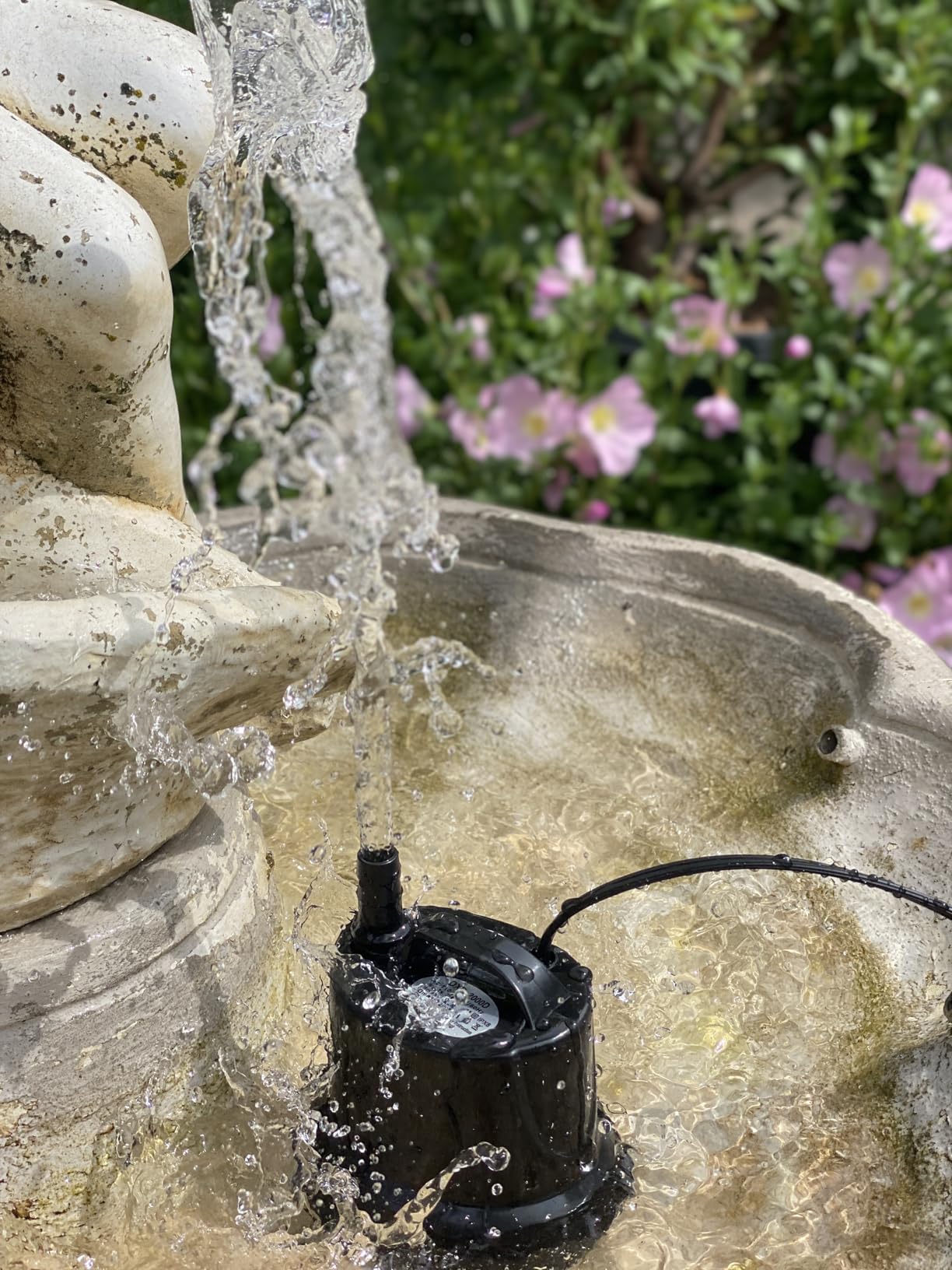 Cold Plunge Chiller for Ice Bath Tub, 1/3HP Water Cooler, Built-in Filter | Cooling 2°F/H, with Submersible Pump, Insulated Hoses, Works with All Bathtubs, Quiet Operation, Therapy Recovery, 115V customer photo 2
