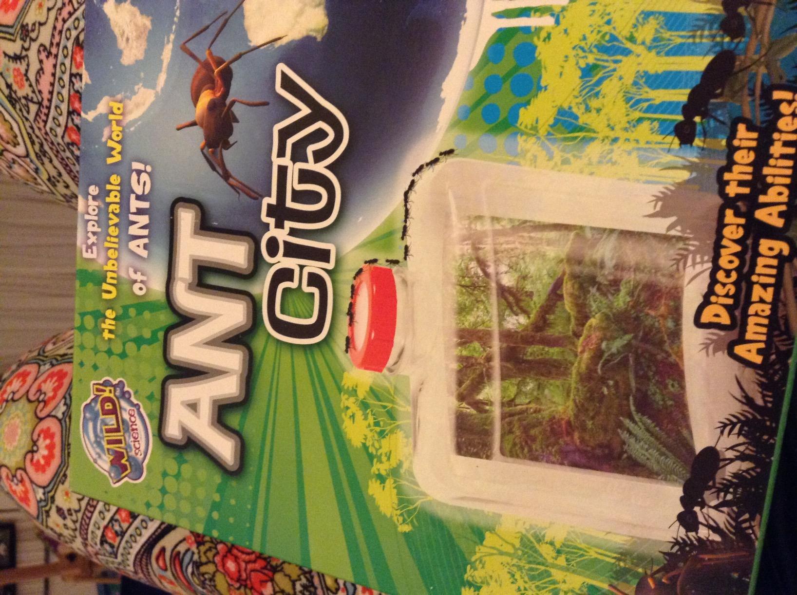 Ant Farm customer photo 2