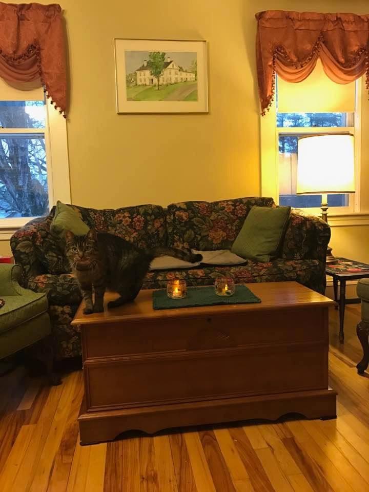 Coaster Home Furnishings - Paula - Wood - Cedar Chest with Storage Trunk, Rectangular Shape and Traditional Style - Bedroom - 40-Inch - Honey - 4695 customer photo 1