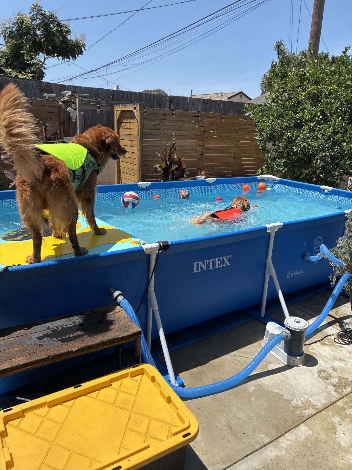 INTEX Metal Frame 14ft 9in x 7ft 3in x 33in Above Ground Swimming Pool | 28273EH - Pool Only (Pump Not Included) customer photo 1