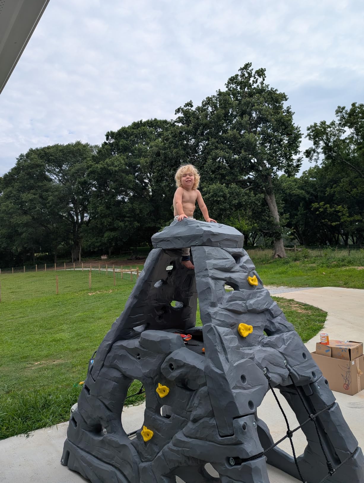 Step2 Skyward Summit for Kids, Climbing Wall Playset for Toddlers, Ages 4 –8 Years Old, Easy to Assemble Kids Outdoor Playground for Backyard customer photo 2
