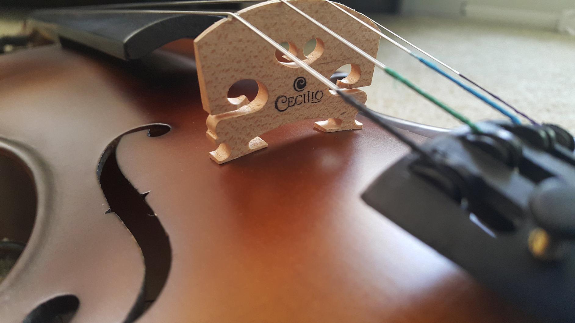 Mendini by Cecilio 1/4 Violin Set For Beginners - Hand Carved Acoustic Violins Kit - Fiddle Solid Wood Kit with Hard Case, Bow, Rosin, Shoulder Rest, Bridge and Extra Strings customer photo 1