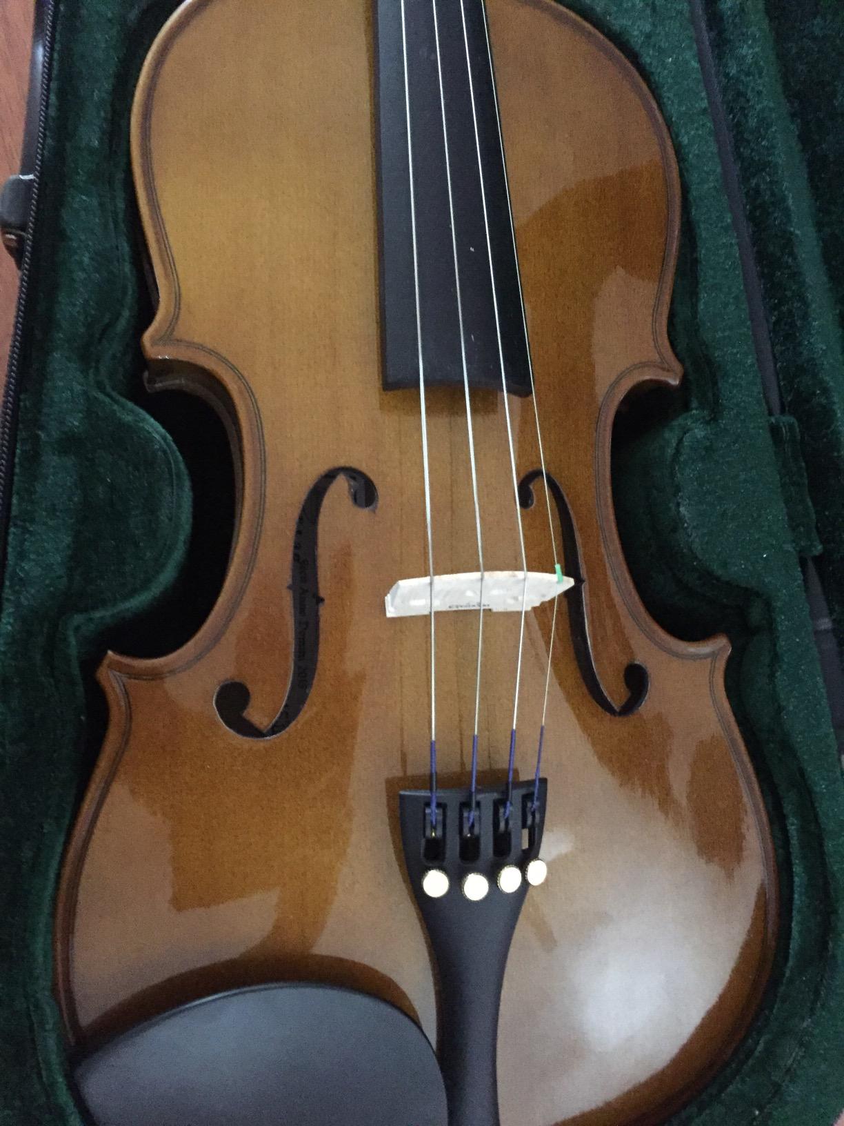 Cremona SV-130 Premier Novice Violin Outfit - 1/2 Size customer photo 2
