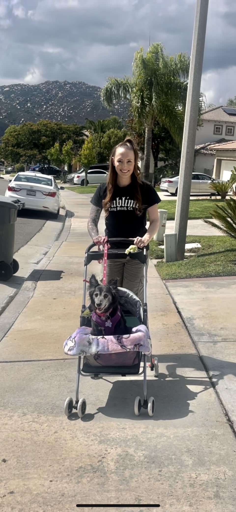 BestPet Foldable Pet Stroller for Small/Medium Dogs and Cats Up to 33 lbs customer photo 2