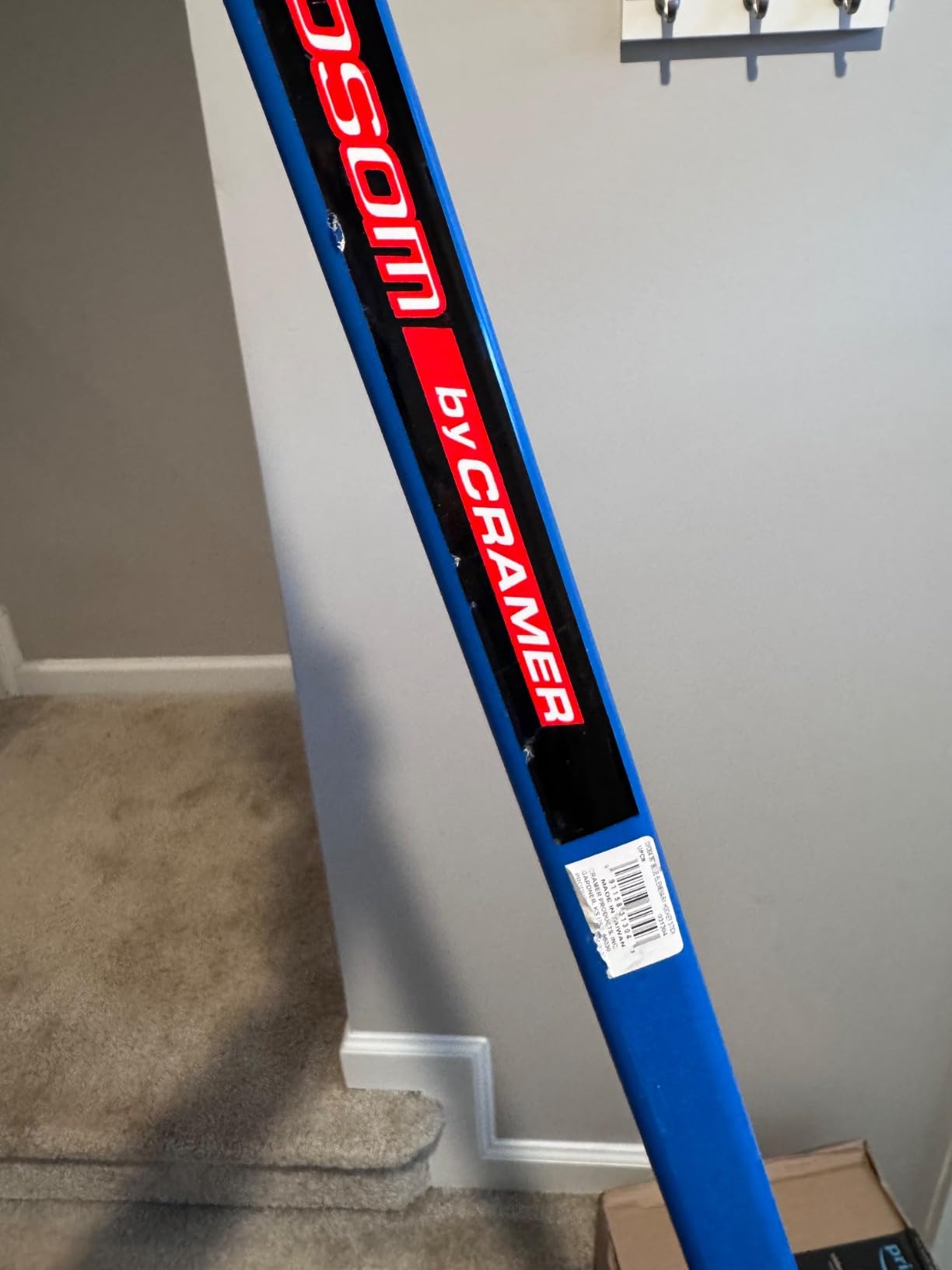 Cosom Elementary Plastic Hockey Sticks for Floor Hockey, Ice Hockey, and Street Hockey for Kids, Youth Hockey Training Equipment, Physical Education Equipment, Plastic 36